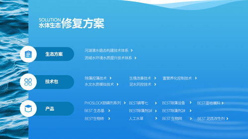 易企宣助力澳洲上市公司林澤圣泰中國區網站策劃開發，專業服務廈門中小企業網站建設